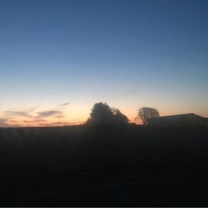 Meet your Posher, Bailey